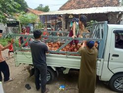 Korem 052/Wijayakrama Bantu Ternak Ayam Petelur di Panti Asuhan Yayasan Amanah Assodiqiyah