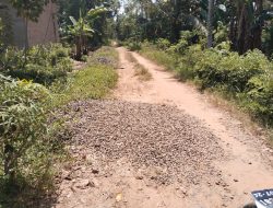 Pembangunan Rabat Beton MANGKRAK: Mantan Kades Desa Mekar Karya Diduga Rugikan Negara Rp. 198 juta