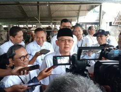 Tiga Pekan Menjelang Idul Adha 1446 H, Penjualan Hewan Kurban di Sleman Masih Lesu