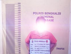 Live TikTok Hina Islam, Pria di Bengkalis Dicokok Polisi di Tengah Malam