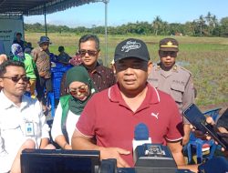 Libatkan 21 Orang Petani, HKTI DIY Tanam Padi Serentak di Minggir