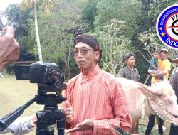 Setiap Tahun Baru Muharam, Mini Zoo Jogja Exotarium Laksanakan Tradisi Mandikan Kerbau Bule
