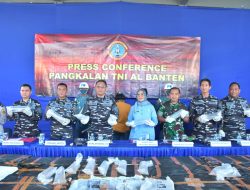 Rugikan Negara Sebesar Rp. 29,97 Miliar, Penyelundupan 199.800 Benih Lobster Berhasil Digagalkan TNI AL di Pelabuhan Merak