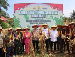 Dukung Swasembada Pangan 2025: Kapolres Tebo Laksanakan Panen Raya Jagung