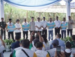 Wakil Presiden RI, Menegaskan Negara Harus Turun Ke Sawah