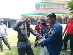Kesiagaan Pembinaan Dan Pelatihan Satlinmas Desa Wilayah Krembung Digelar