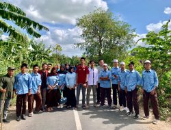 Bakti Sosial di Semoyang:YPP Syaikhuna Zainuddin Atsani NW, KKN STIT PALAPA NUSANTARA dan Pemuda Inspirator NTB