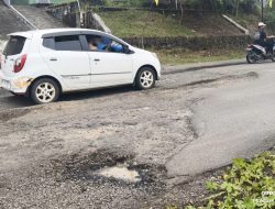 Warga Mengeluhkan Ruas Jalan Cikeusal Banyak Berlobang, PUPR Serang Diminta Segera Memperbaiki