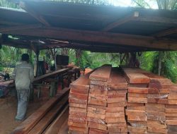 Somel Kayu di Desa Bantan Tua Diduga Luput dari Hukum, Pemilik Berinisial “I” Disorot