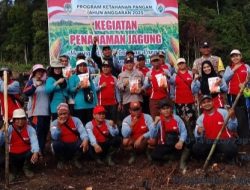 Sinergi Pemdes Batu Nanta, Polsek dan Petani Sukseskan Penanaman Jagung Program Ketahanan Pangan Nasional