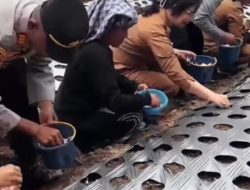 Wakil Bupati Humbahas Rebeka Marbun Galakkan Bawang Putih dengan Dukungan Kementan