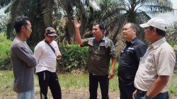 Ketua ETH Jambi Geram, Mafia Tanah dan Perkebunan Sawit Ilegal Akan Dibongkar