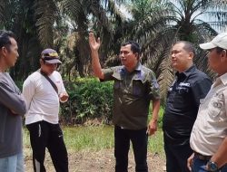 Ketua ETH Jambi Geram, Mafia Tanah dan Perkebunan Sawit Ilegal Akan Dibongkar