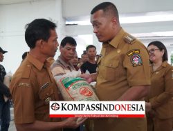 Pemerintah Kabupaten Toba Salurkan 34.475 Kg Benih Padi Untuk 93 Kelompok Tani