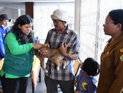 Pemerintah Kabupaten Samosir Gelar Vaksinasi Rabies Massal, Target Bebas Rabies 2027.
