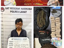 Satres Narkoba Polres Lahat Kembali Ungkap Kasus Narkotika Jenis Ganja