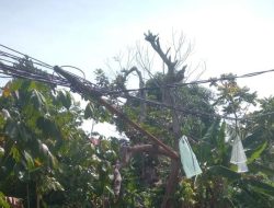 Kabel Semrawut di Gang Ikhlas Bengkalis — Warga Geram: “PLN dan Provider Jangan Tutup Mata