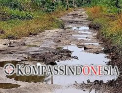 Jalan Lumpuh Total, Warga Teriak: Bupati & DPRD Meranti Jangan Tutup Mata!