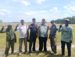 Serayu Group Pendamping PT HAI CHENG.S.B Mitra Investor China Akan Tanam Dan Dirikan Pabrik Blok Bahan Baku Kayu Balsa Di Lampung Terbesar Di Dunia.