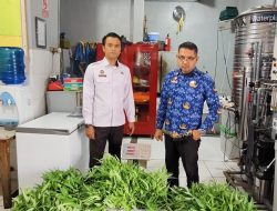 Lapas Kelas’ II B Langsa Gelar’ Panen Kangkung Sebagai Wujud Program Ketahanan Panganan Dan Pelatihan Kemandirian.