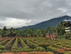 Pandeglang Indah: Keajaiban DM Tirta Persada – Alam, Petualangan, Spiritual
