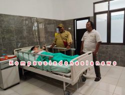 Insiden Seorang Anak Terpental Akibat Hempasan Belalai Gajah di Way Kambas, SOP Keselamatan Pengunjung Dipertanyakan