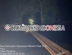 18 Rakit Kayu Ilegal Disita Di Meranti,Aktor Utama Menghilang