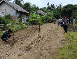 Warga Pandeglang Tanam Pohon Pisang di Jalan Rusak, Sebagai Tanda Protes Terhadap Infrastruktur yang Diabaikan”