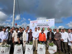 Pemkab Tapanuli Utara Bersama Utusan Khusus Presiden Tanam Pohon dan Bahas Mitigasi Bencana