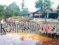 Kilang Sagu Diduga Cemari Sungai Ketam Putih, Limbah Hitam Berbau Busuk Mengalir Bebas Puluhan Tahun