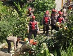 Polres Tuban dan BPBD Turun Tangan Bantu Warga Tegalrejo Terdampak Angin Puting Beliung