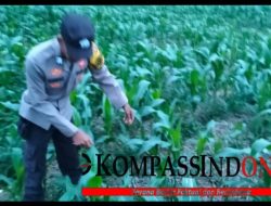 Bhabinkabtimas Memberikan Motivasi Kepada Petani Dalam Manfaatkan Lahan Untuk Meningkatkan Tanaman Pangan