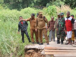 Respons Cepat Bupati Tapanuli Utara, Tinjau Jembatan Putus dan Temui Warga Garoga