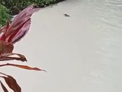 Sungai Cisadane Berbusa dan Ikan Mati Usai Kebakaran Pabrik Kimia di Tangsel