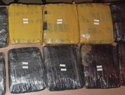 Pengembangan Kasus di Tanah Abang, Polisi Amankan 15,5 Kg Ganja