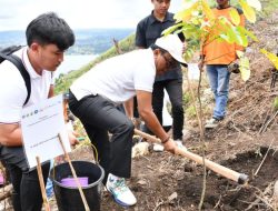 Wabup Samosir Tanam Pohon di Lereng Gunung Pusuk Buhit, Perkuat Komitmen Pelestarian Alam