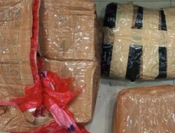 Polda Metro Jaya Respons Cepat Laporan Warga, Pengedar Ganja 1,3 Kg Dibekuk