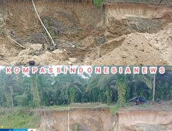 Langgar UUD Minerba dan UUD Kehutanan, Tambang Pasir Milik Joni Bebas Ber-Operasi Diwilayah Kawasan Hutan Register