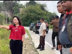 Pemkab Humbahas Targetkan Normalisasi 5 Hektar Sawah Terdampak Longsor di Aek Godang Arbaan