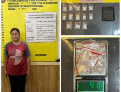 Berantas Peredaran Narkotika, Satresnarkoba Polrestabes Palembang Amankan Seorang Ibu Rumah Tangga