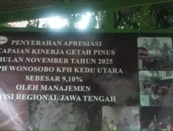 Perusakan Hutan Lindung Dataran Tinggi Dieng Dilakukan Secara Masif, Siapa Aktor di Baliknya?