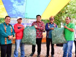 Didukung APBN 2026, Samosir Disiapkan Jadi Sentra Bawang Putih Nasional