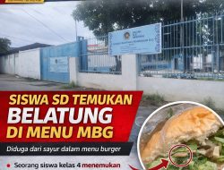 Ada Belatung di Menu MBG Siswa SDN Sukasari 1 Kecamatan Rajeg Diduga dari Sayur
