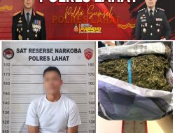 Hasil Penyelidikan Satres Anarkoba Polres Lahat Mengamankan 1.020 ( Seribu dua Puluh Gram Ganja).