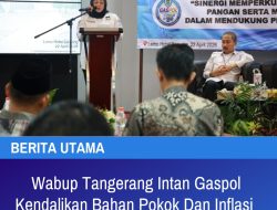 Wabup Tangerang Intan Gaspol Kendalikan Bahan Pokok Dan Inflasi