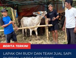 Lapak Om Rudy dan Team jual sapi qurban harga ekonomis