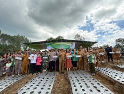 Dukungan Langsung Bupati JTP: Traktor dan Irigasi Disetujui untuk Kelompok Tani Tulason Tani Sukses