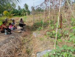 Polisi Cinta Petani, Bhabinkamtibmas Desa Bantan Air Turun Langsung Dukung Ketahanan Pangan