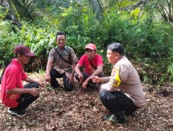Bhabinkamtibmas Desa Pambang Pesisir Tinjau Lahan Kosong untuk Program Ketahanan Pangan