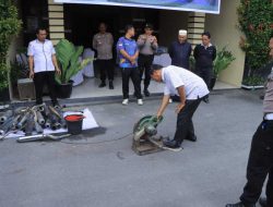 Polisi Berikan Rasa Nyaman, Polres Samosir Musnahkan 117 Knalpot Brong